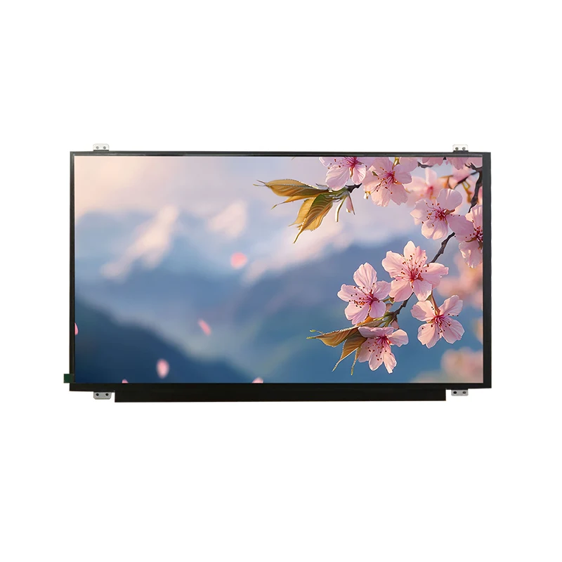 15.6 'HD Wide Temp IPS TFT LCD Modul Skrin
