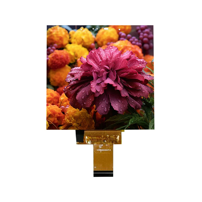 3.95 inci kuasa rendah 500 NIT IPS Modul skrin sentuh nipis dalam sel 3.95 inci kuasa rendah 500 NIT IPS Modul skrin sentuh nipis dalam sel