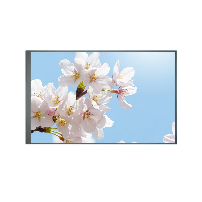 8.0 inci biasanya kembali modul skrin lcd TFT IPS TFT