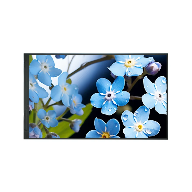 8.0 'IPS HD HD TFT LCD Modul Paparan
